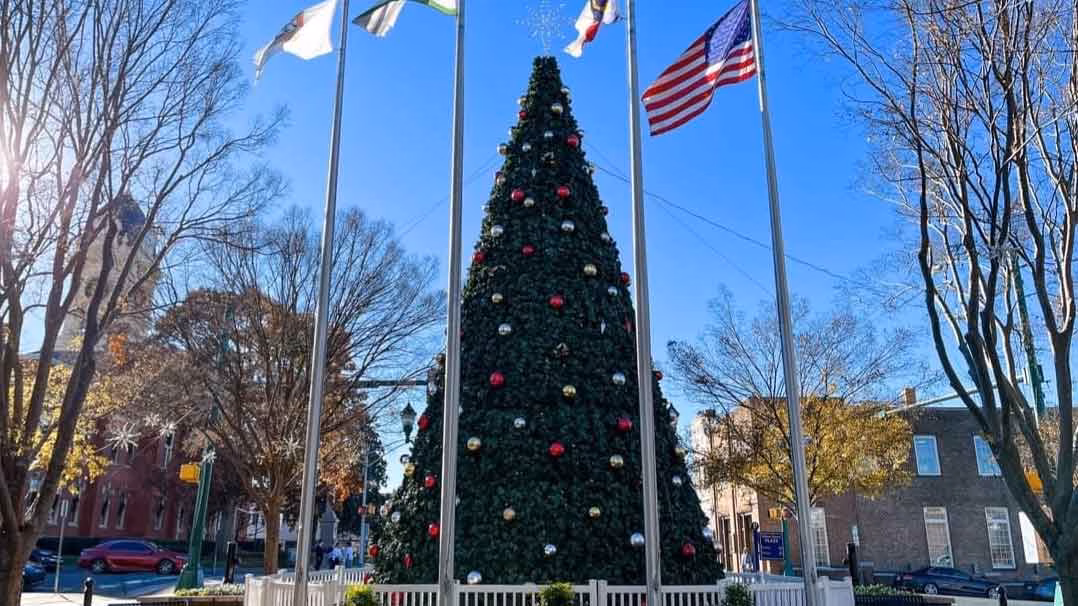 Christmas Tree Lighting